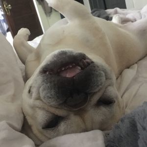 Meet your Posher, Allison